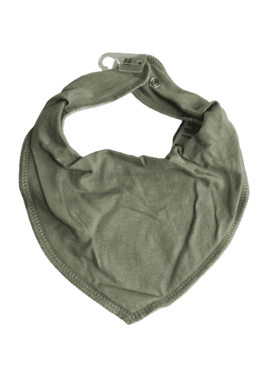 13191944 bib desert sag.png