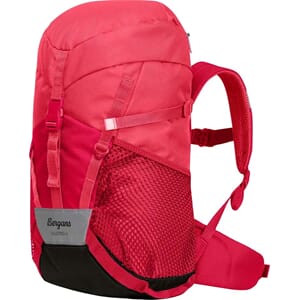 Bergans Lilletind 12 l  Alpine rosem/navn